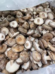 Rare Mushroom Delivery Frankfort