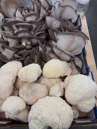 Rare  Mushroom Delivery Juneau