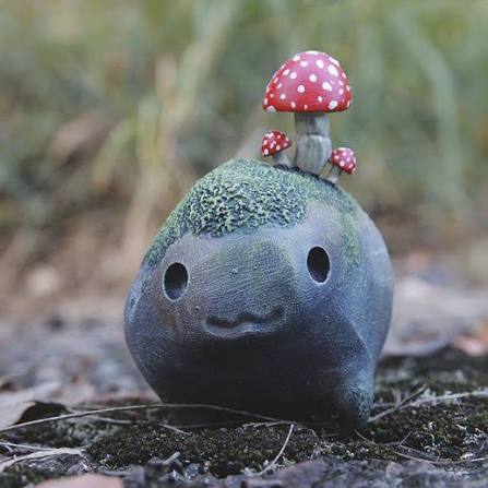 Rare  Mushroom Delivery Little Rock