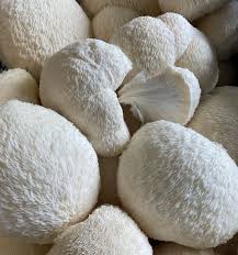 Rare Mushroom Delivery Montgomery